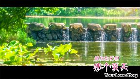 Your Love Story 被你忘记的那个夏天