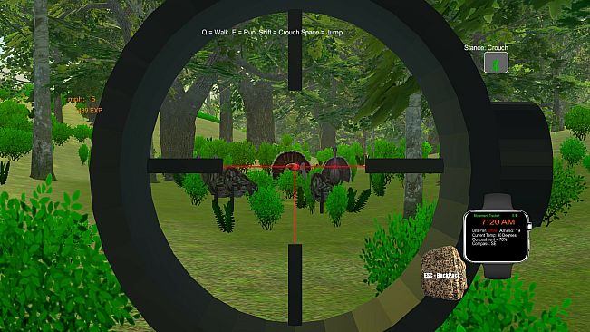 Turkey Hunting - The Season