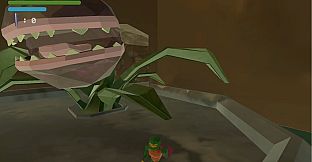 The Celestial Seeker