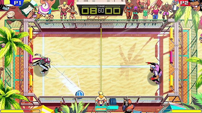 Windjammers 2
