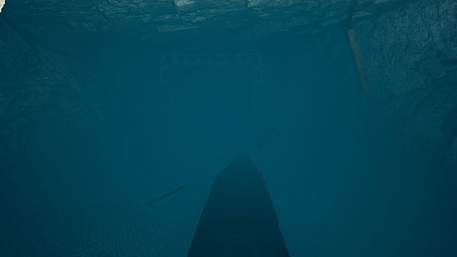 ROAD HOMEWARD 3 underwater world