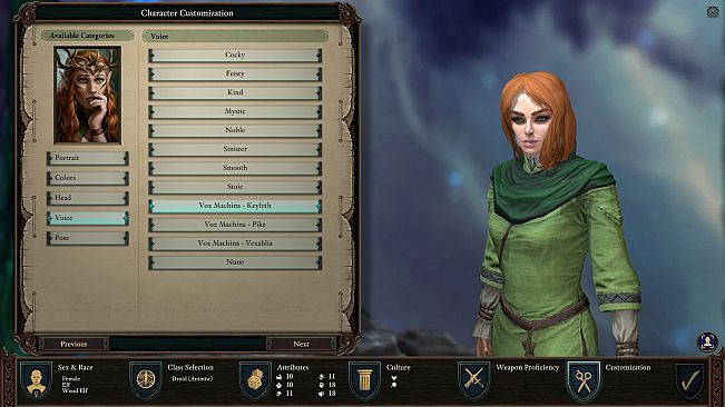 Pillars of Eternity II: Deadfire - Critical Role Pack