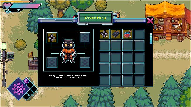 Invincible Champions