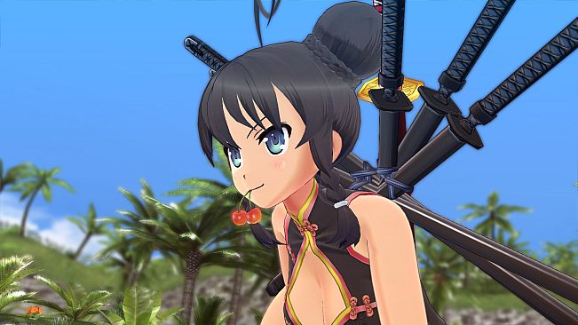 SENRAN KAGURA ESTIVAL VERSUS - Spray Pack