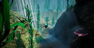 Tidepool