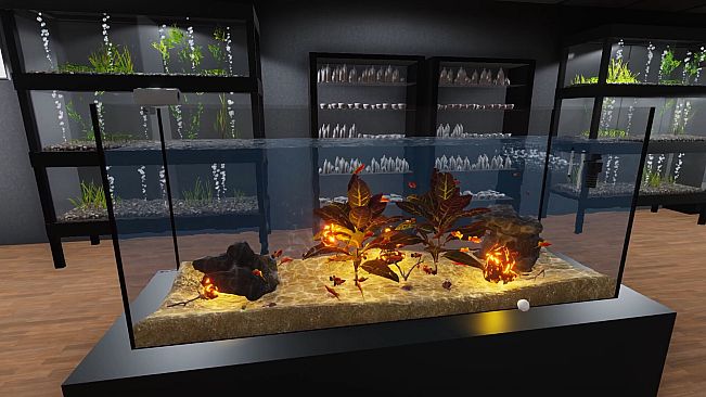 Aquarist - American Fish DLC