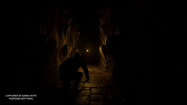 Cosmic Horizons: Path of the Wanderer