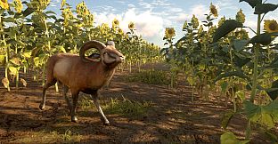 theHunter: Call of the Wild - Cuatro Colinas Game Reserve