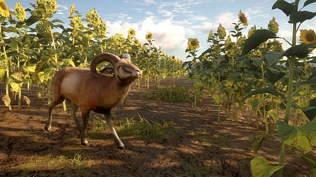 theHunter: Call of the Wild - Cuatro Colinas Game Reserve