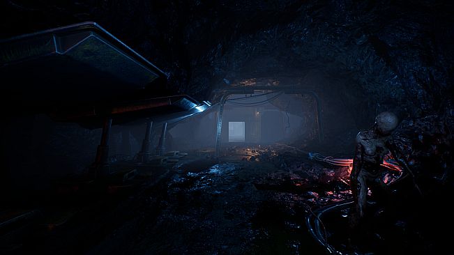 The Extractors