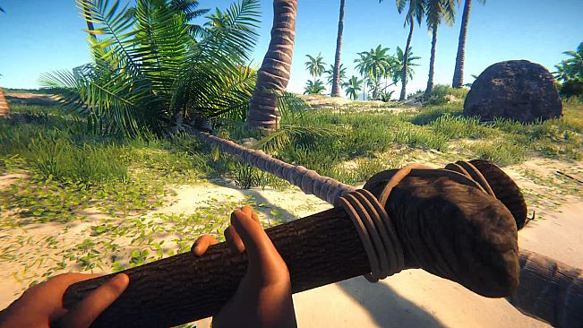 Stranded in Paradise