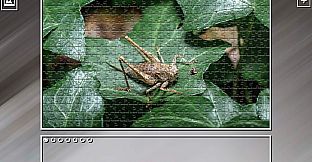 Super Jigsaw Puzzle: Generations - Random Animals 5