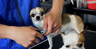 Broforce: The Soundtrack