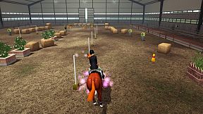 Riding Club Championships