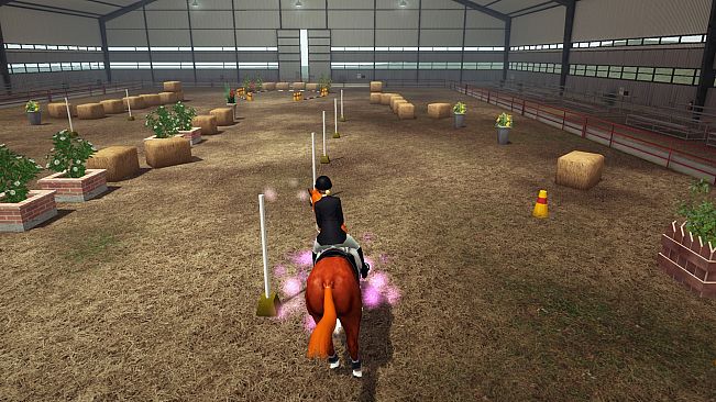 Riding Club Championships