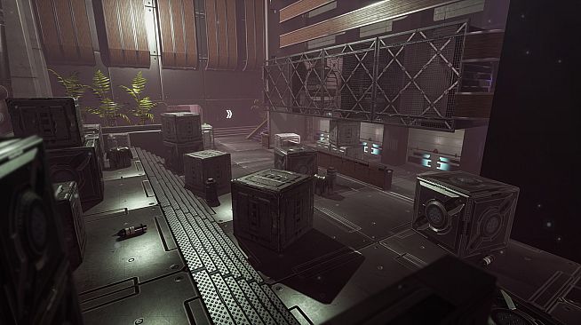 NearPrime VR - Net Burn