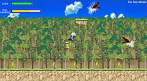 Connect Lyrical Spectacle Forest