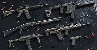 Insurgency: Sandstorm - Two-Tone Weapon Skin Set