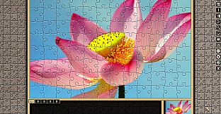 Pixel Puzzles Traditional Jigsaws Pack: Variety Pack 7