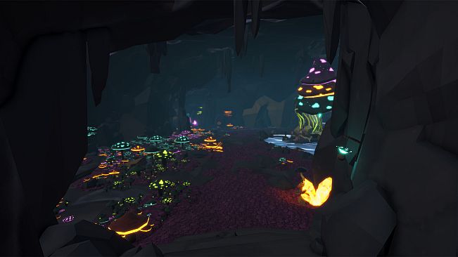 SONDER: Embrace The World