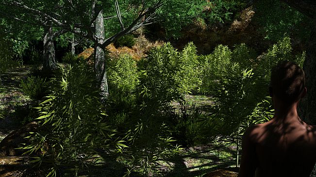 Sophie: The Girl From The Zone