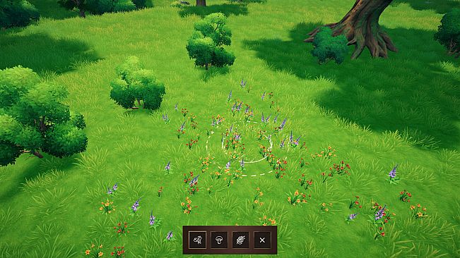 Fantasy Camp Builder