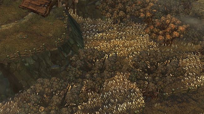 Tree of Savior - Reset Pack for EU Servers