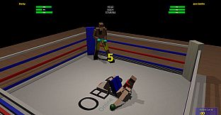 Online Boxing 3D