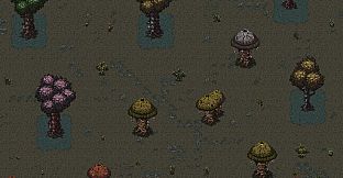 THE THRESHOLD DWELLER