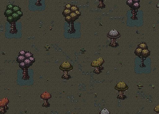 THE THRESHOLD DWELLER