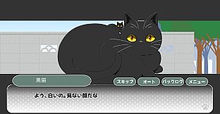 ノワールの帰り道