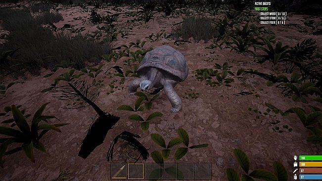 Matt's Project Survival