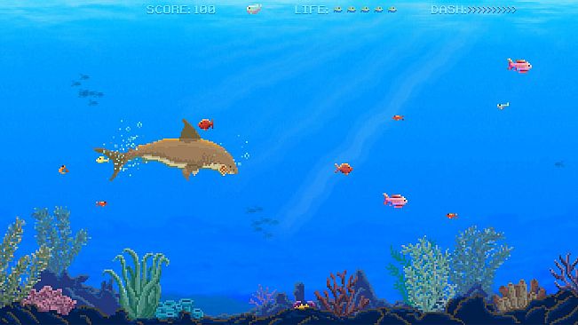 Watch Out: Shark!