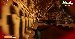 Unexpected Pigeon Race