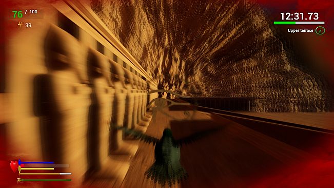 Unexpected Pigeon Race