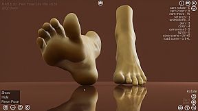 HAELE 3D - Feet Poses Pro - Drawing References