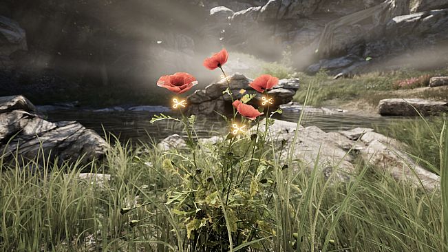 Plague Doctor: Life in Pestilence