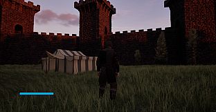 Castles & Castellans