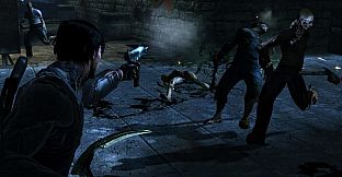 Dark Sector