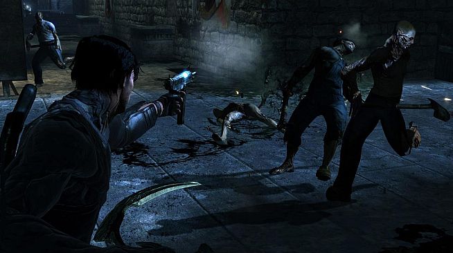 Dark Sector