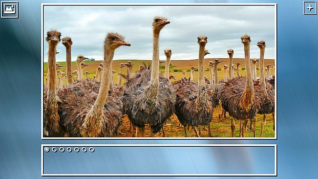 Super Jigsaw Puzzle: Generations - Birds Puzzles