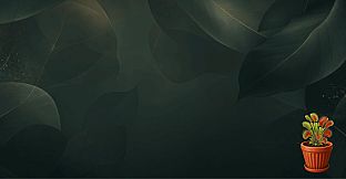 Daily Botanica - The Living Collection