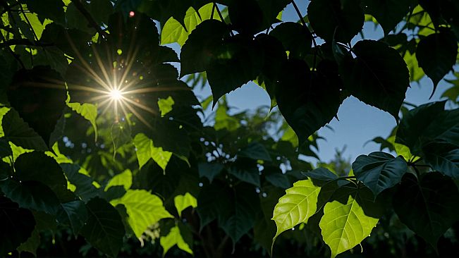 AI-VJ - Magic Forest 3 Visuals