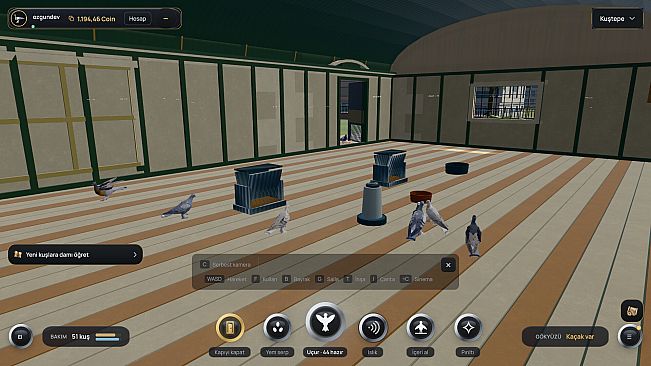 Pigeon Online World