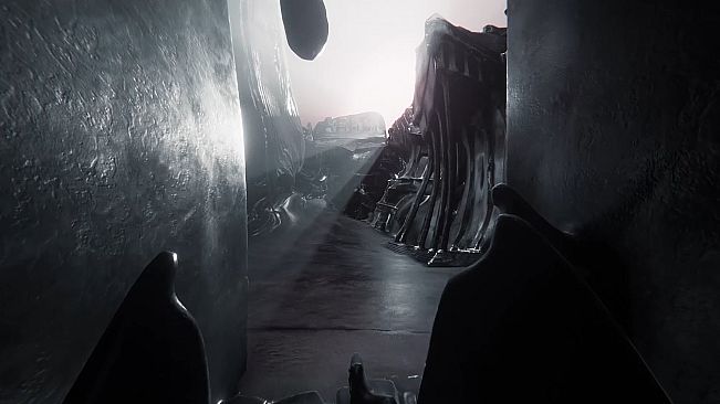 The Signifier Director's Cut