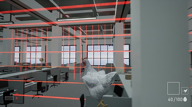 A Chicken In The Office
