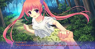 Trajectory of summer flower