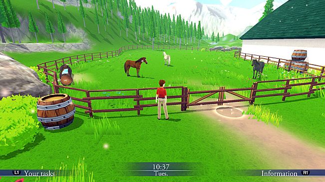 My Riding Stables: Your Horse breeding