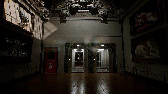 Arcade Games for Pets