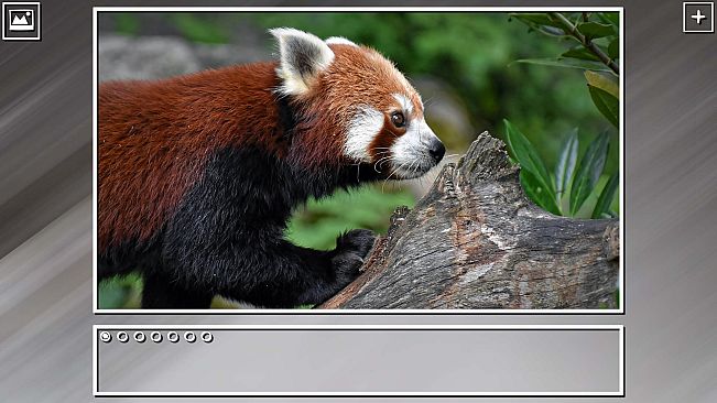 Super Jigsaw Puzzle: Generations - China Puzzles